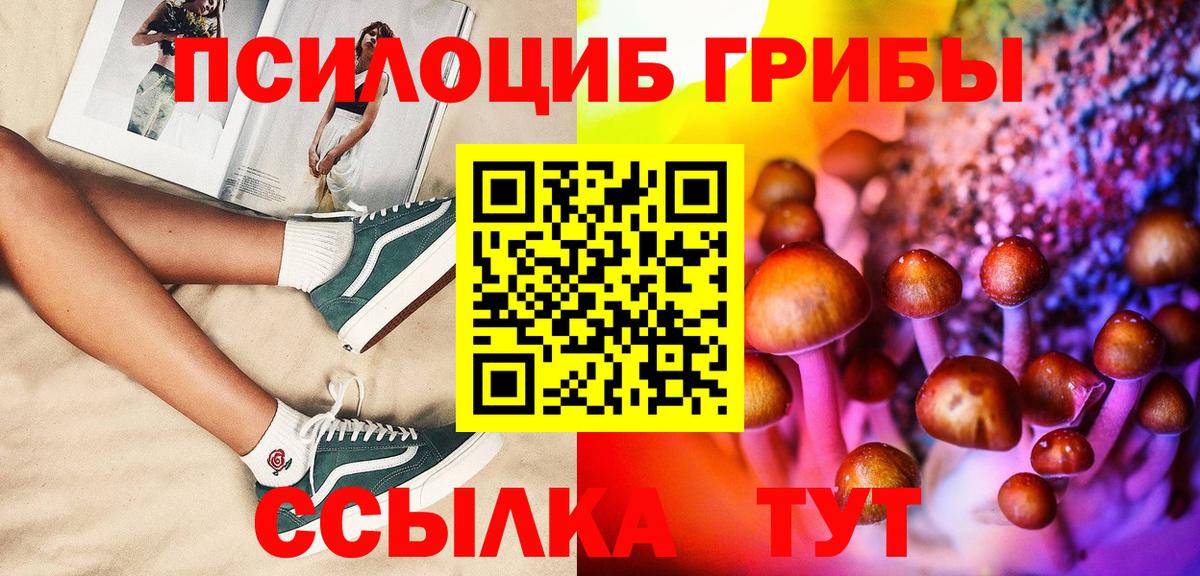 где купить наркотик  Псилоцибиновые грибы Psilocybe  Вход с VPN  Анжеро-Судженск 