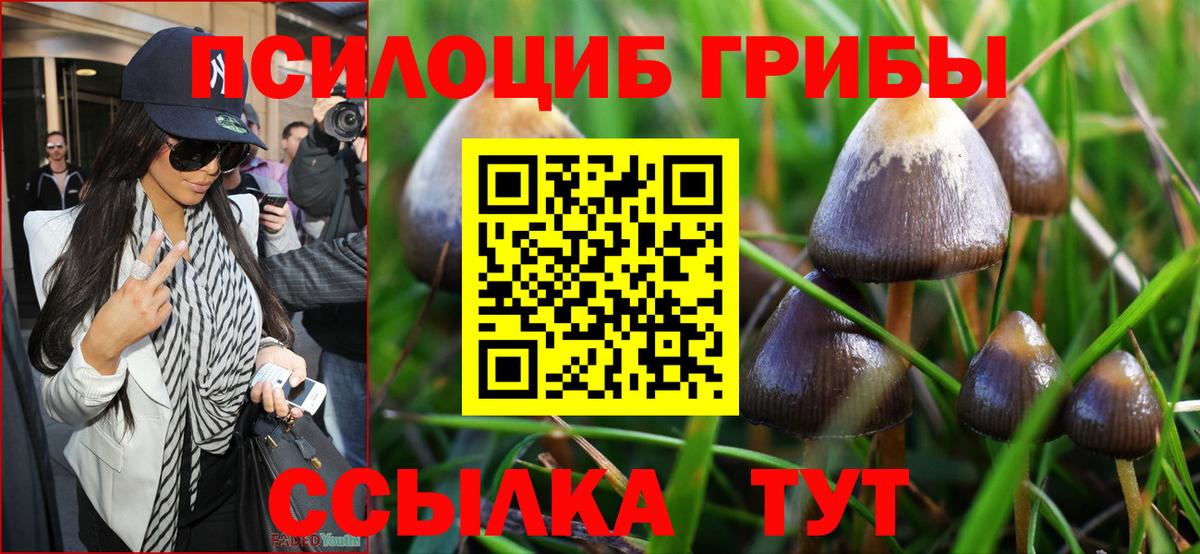 Псилоцибиновые грибы ЛСД Анжеро-Судженск